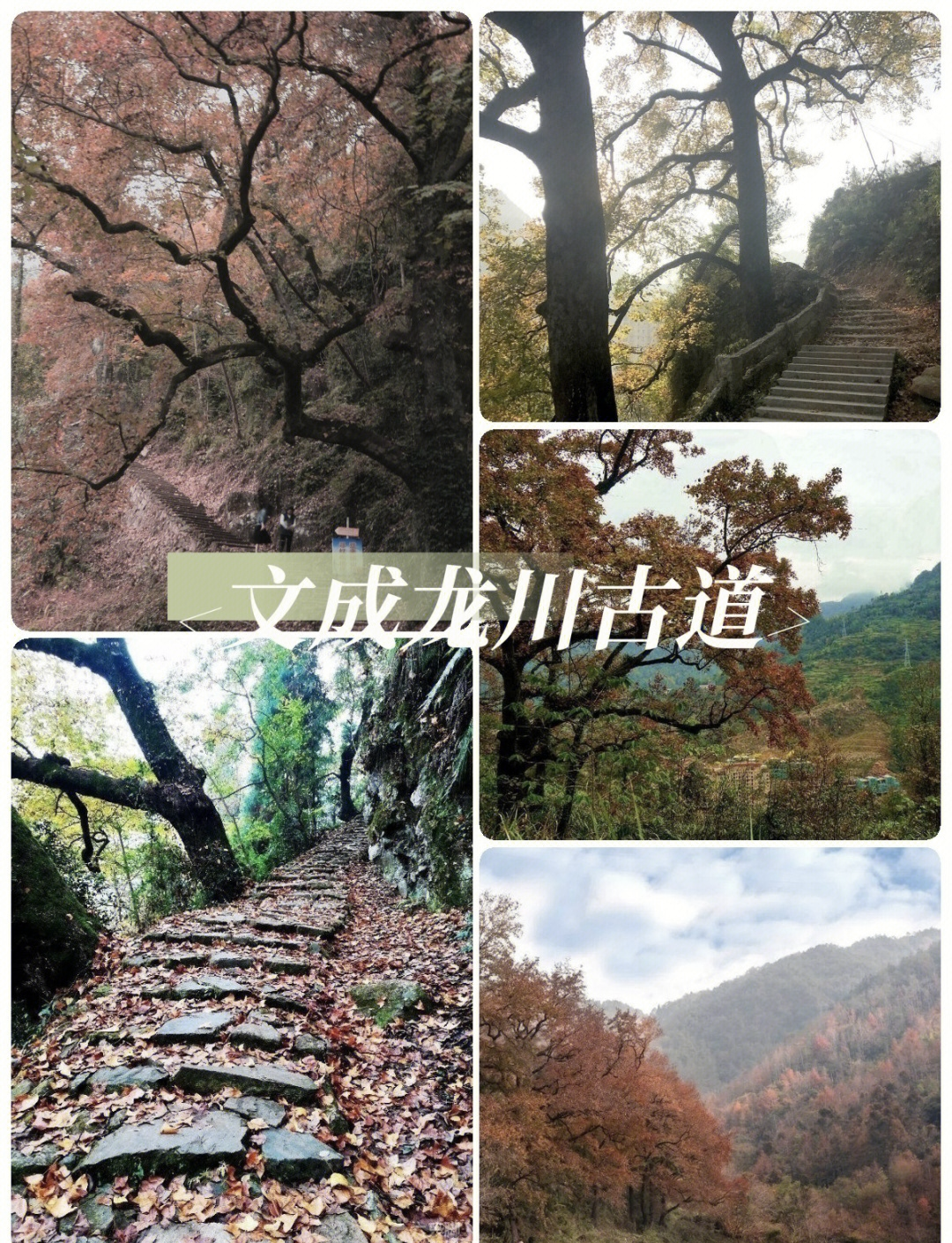 女人必去的15旅游胜地.最适合女人旅游的10个地方？-第1张图片