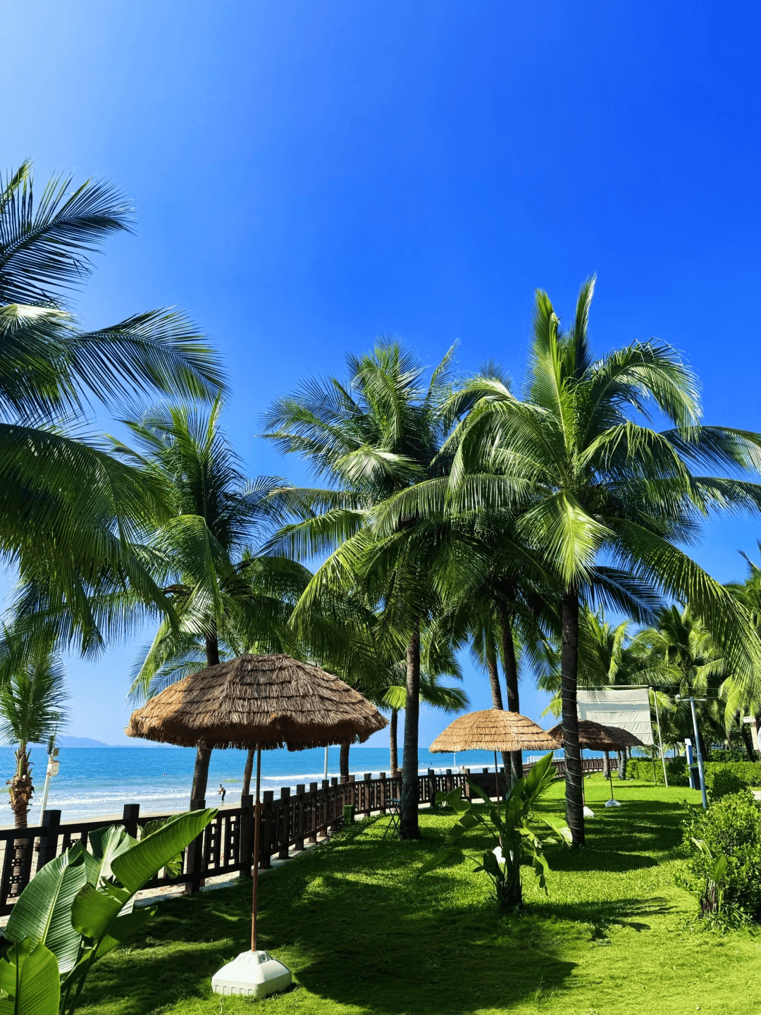 去三亚旅游攻略.跟团去三亚旅游攻略?-第1张图片