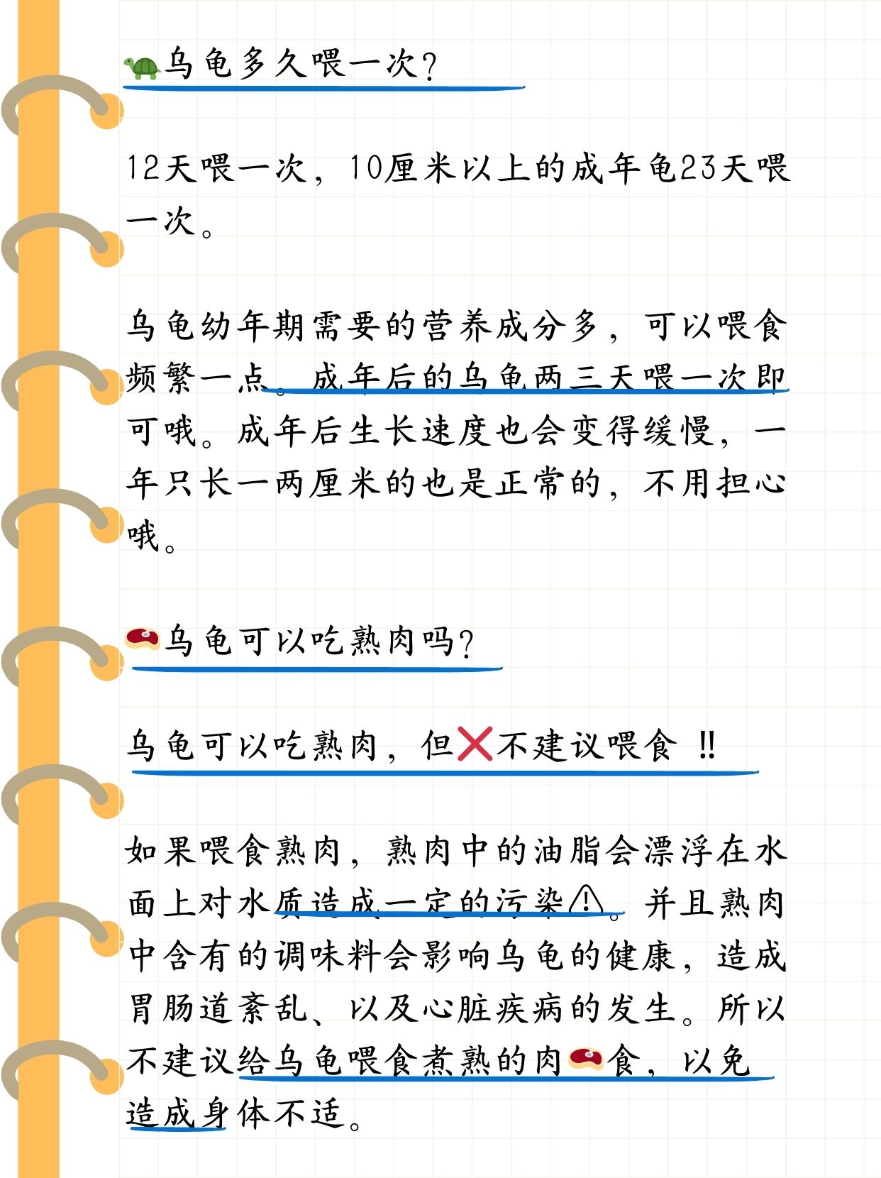 养龟的方法和技巧/养龟的小技巧-第1张图片