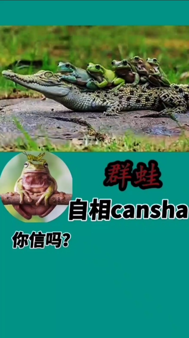 奇闻异事未解之谜网站大全.奇闻异事不解之谜？-第2张图片