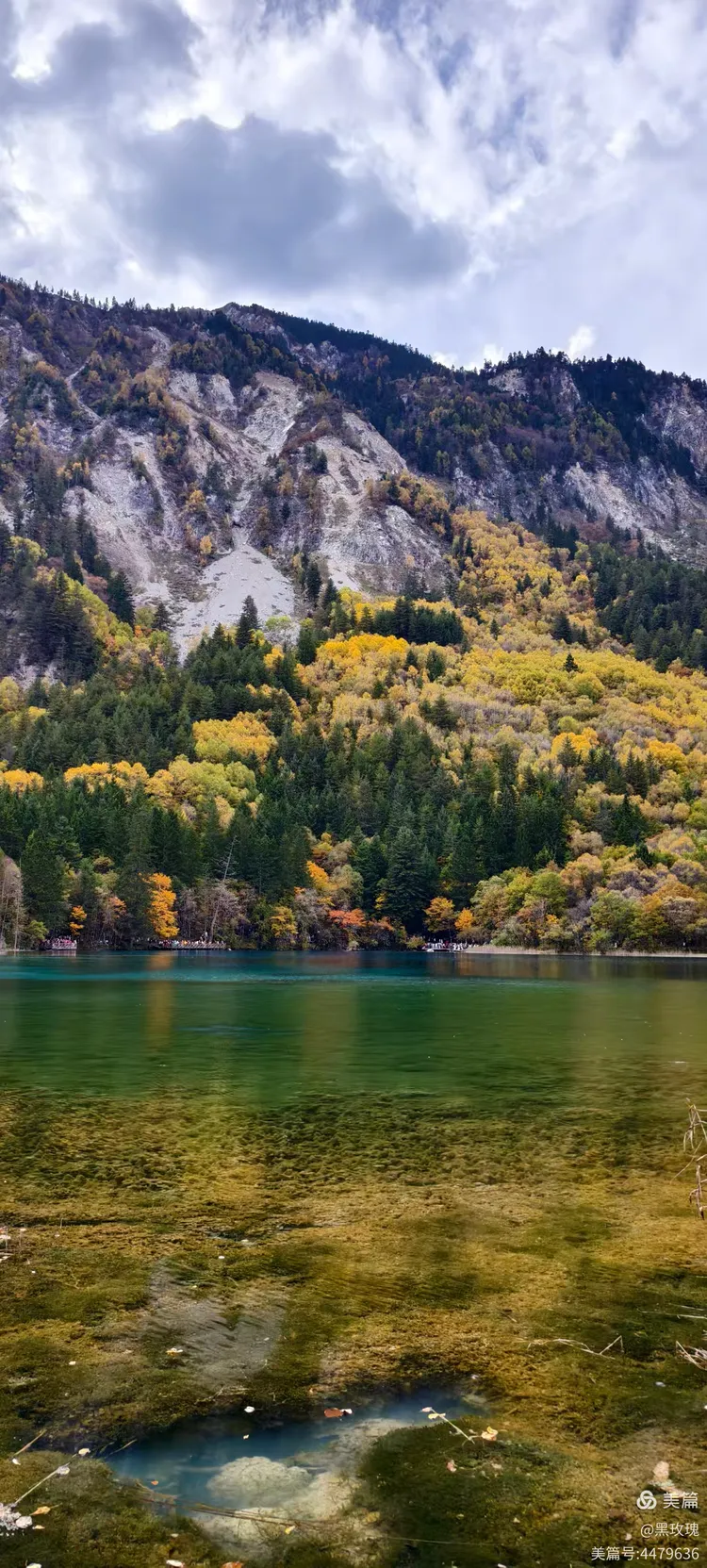 九寨沟海拔比较高多少米.九寨沟海拔比较高多少米原始森林？-第1张图片