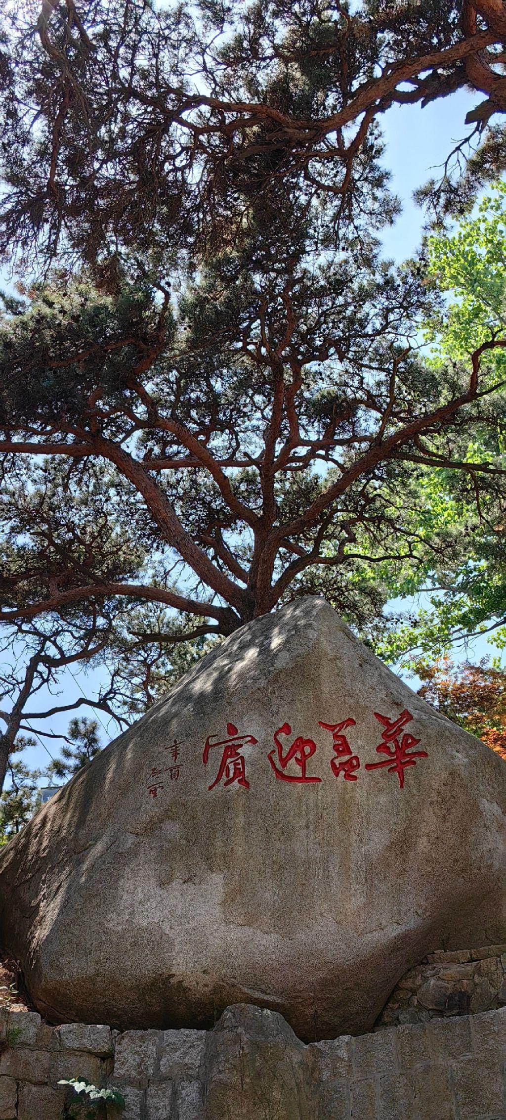 山东一日游最佳景点一览表(山东一日游攻略)-第3张图片