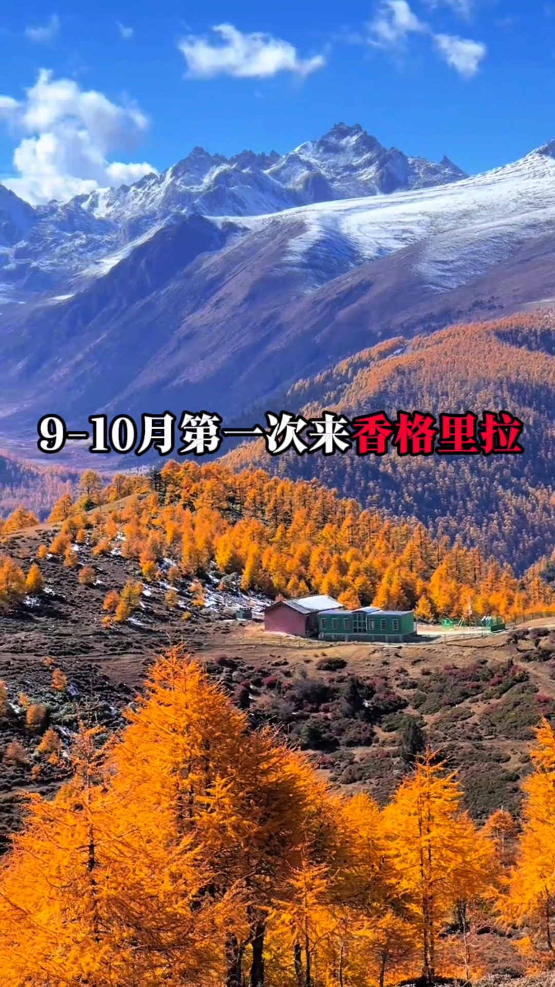 香格里拉真的不敢去了.香格里拉恢复了吗？-第1张图片