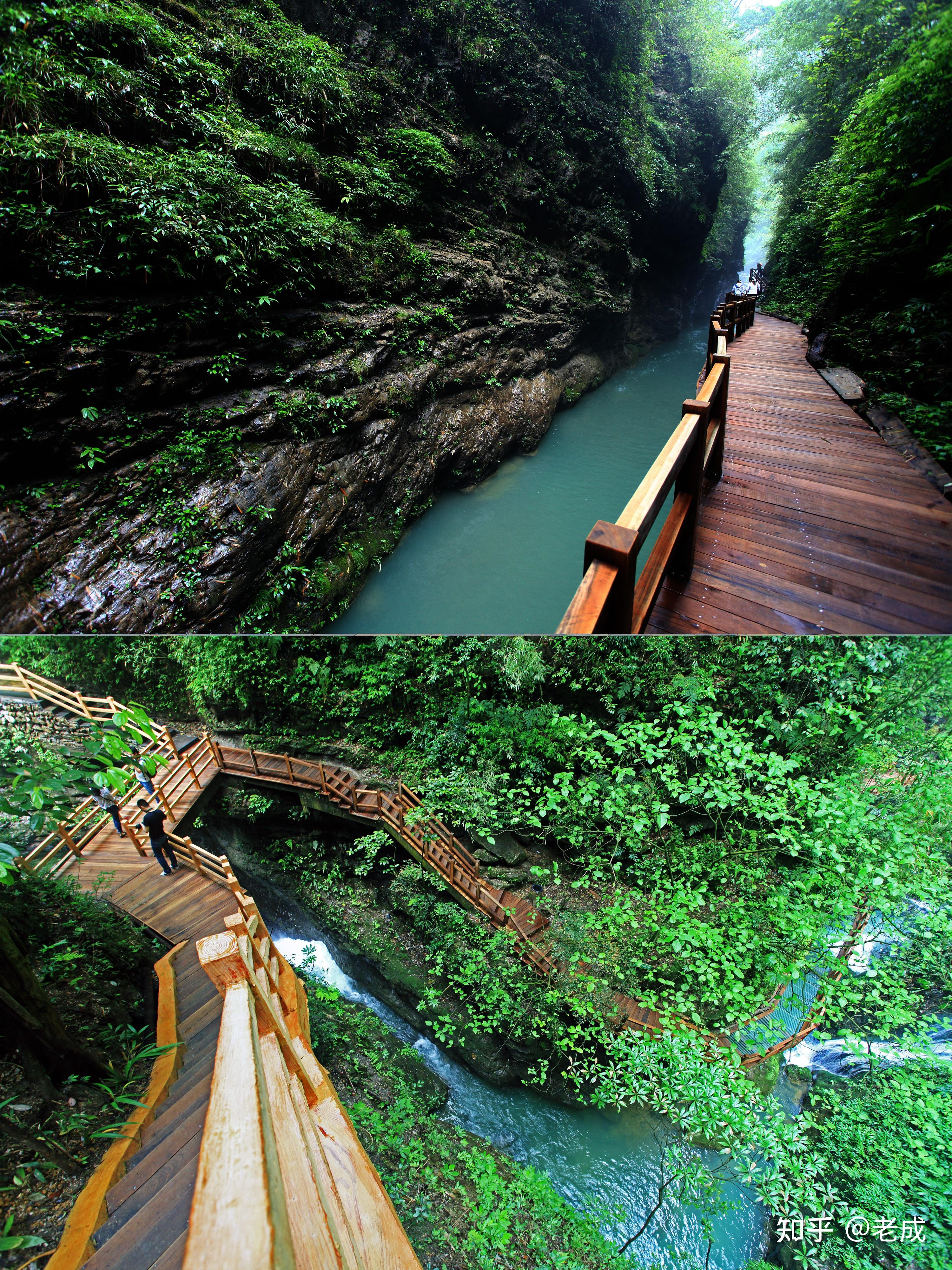 重庆哪里好玩儿的地方推荐(请问重庆哪里好玩)-第2张图片