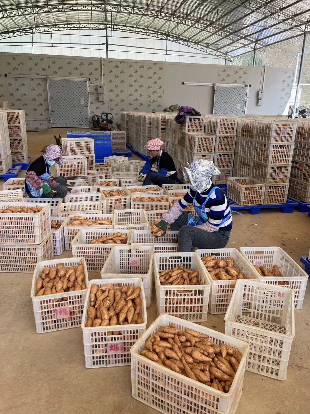 人被蒸熟了是什么样子/人被蒸熟的味道-第3张图片