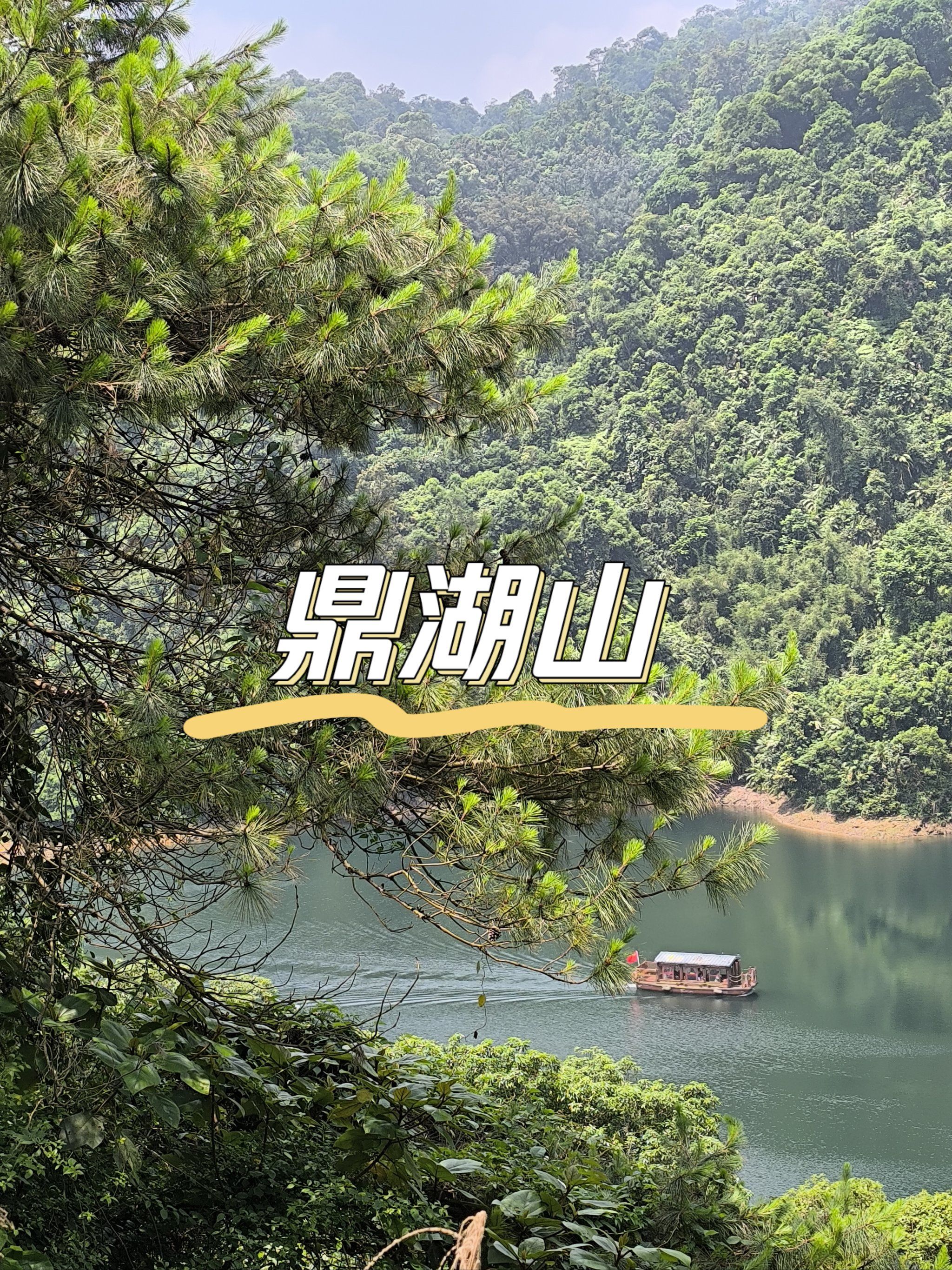 【肇庆鼎湖山一日游攻略,肇庆鼎湖山旅游区】-第1张图片