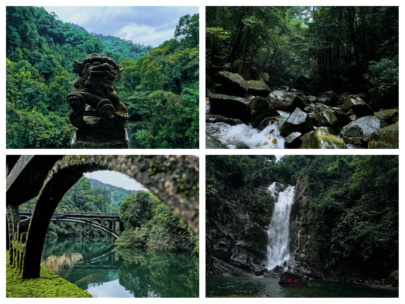 【肇庆鼎湖山一日游攻略,肇庆鼎湖山旅游区】-第3张图片