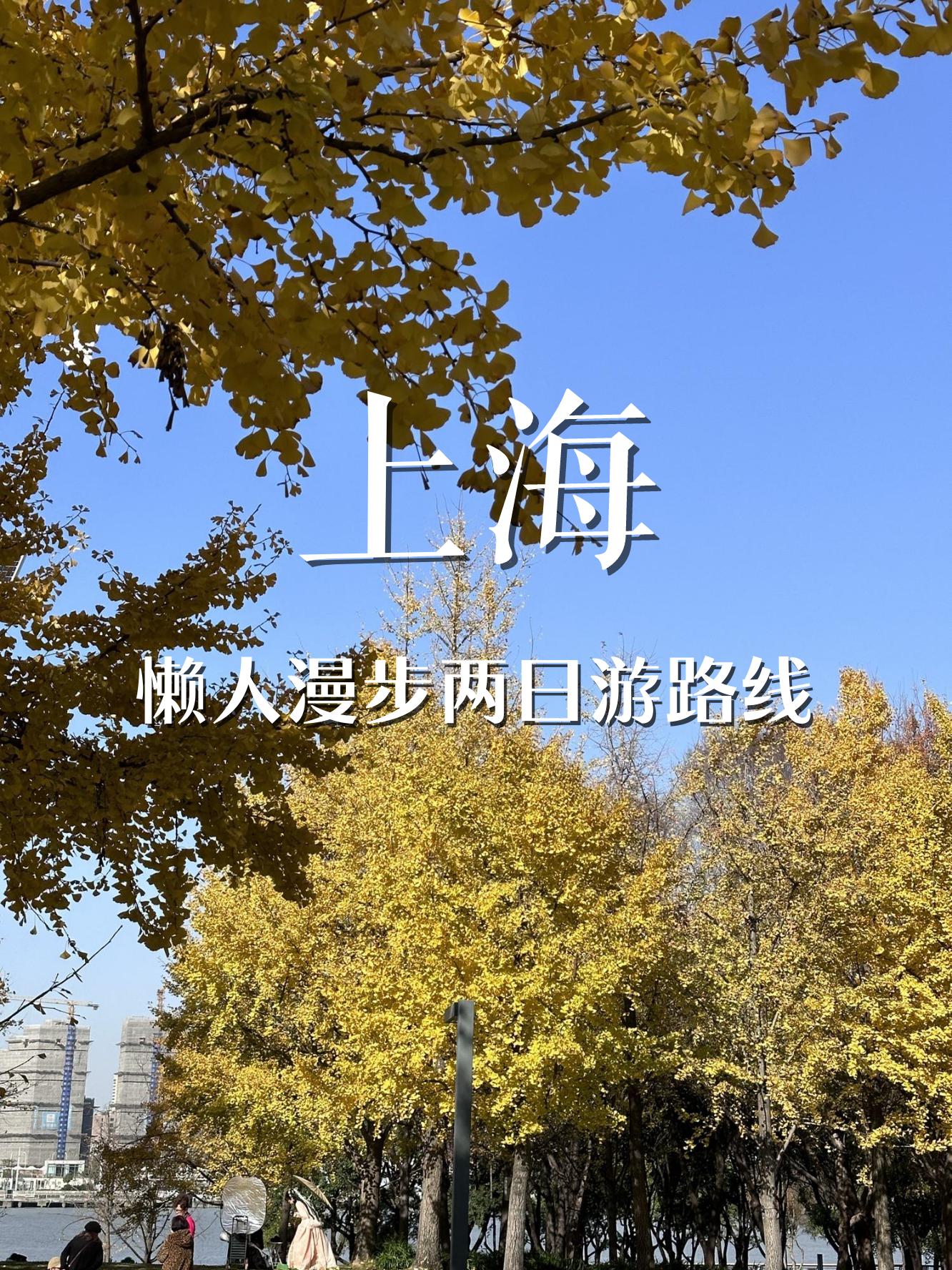 上海两日游攻略及住宿(上海两日游的攻略)-第2张图片