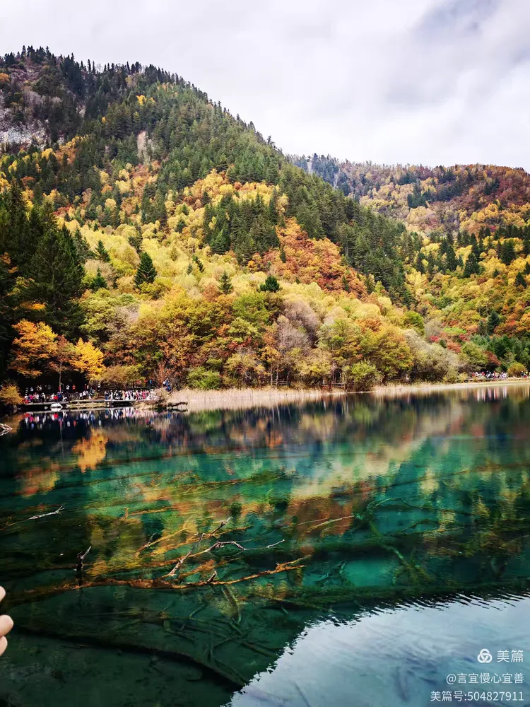 【四川九寨沟图片大全,四川九寨沟图片实拍图】-第3张图片