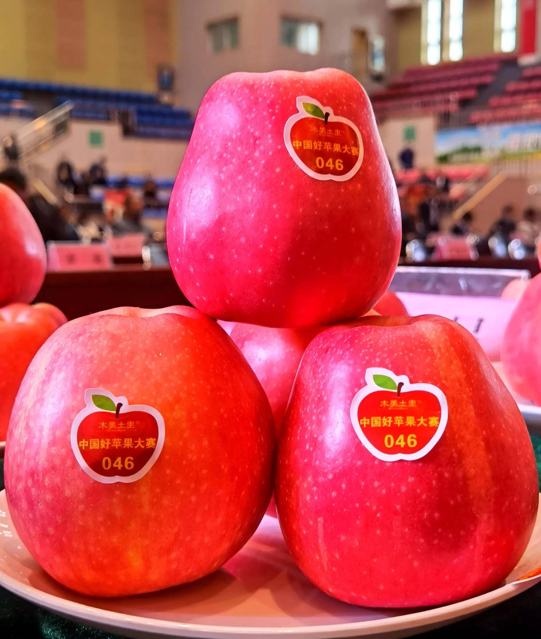 中国苹果排名.中国苹果排名前十位？-第2张图片