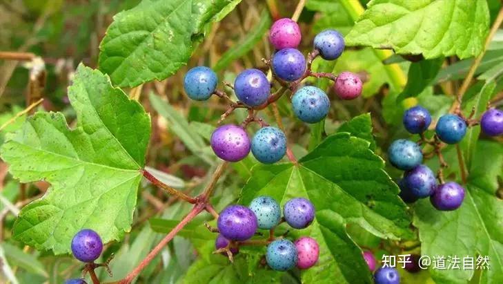 哪些省是重度疫情地区.哪些省份属于疫情重灾区？-第1张图片