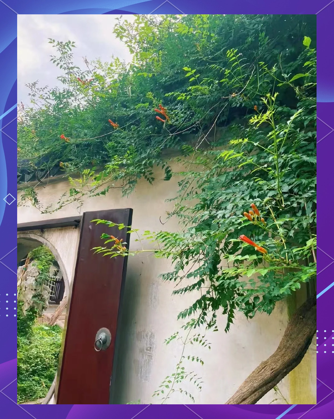 苏州必去4个景点(苏州必去4个景点图片)-第1张图片