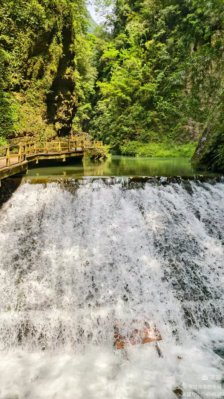 重庆黑山谷旅游攻略/重庆黑山谷景区门票-第1张图片