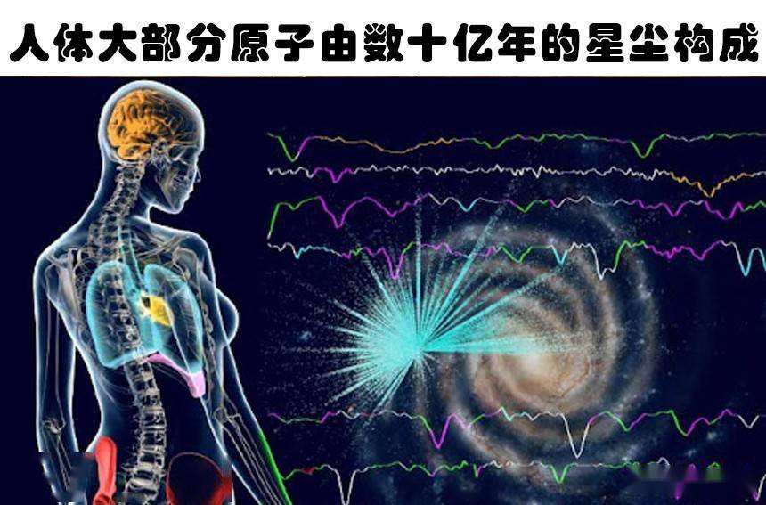 前十诡异科学事实(前十诡异发明)-第2张图片