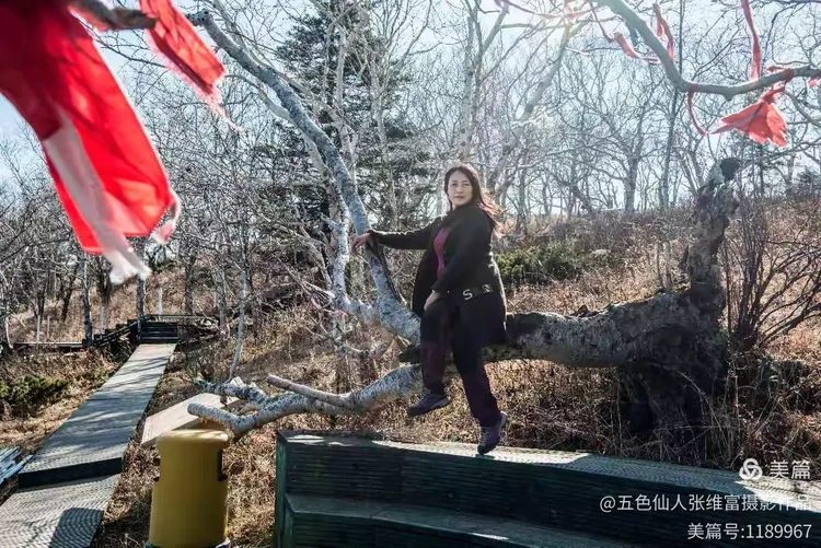 五常ufo事件/五常ol-第1张图片