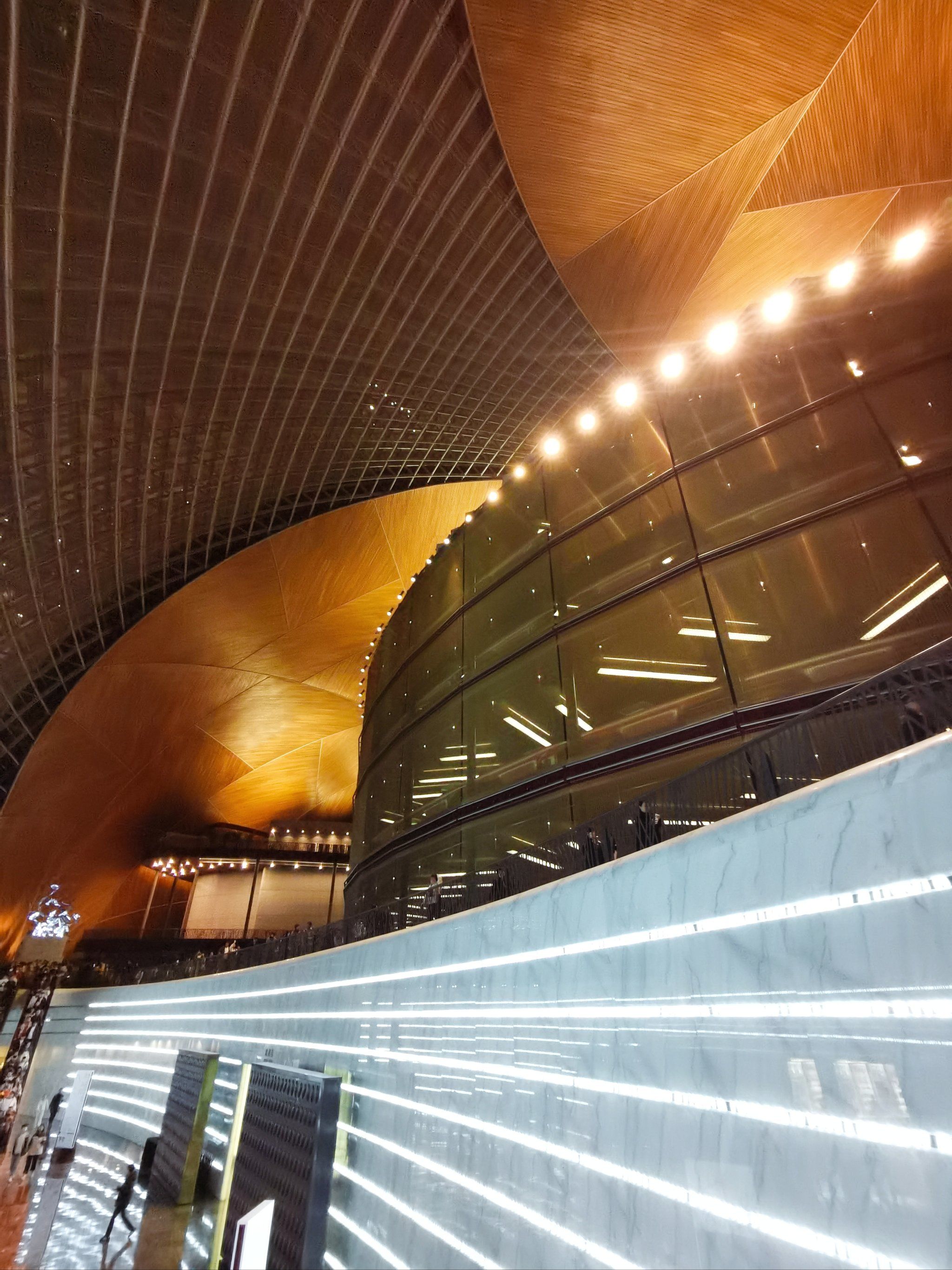 国家大剧院官方网站.国家大剧院官方网站免费观看？-第1张图片