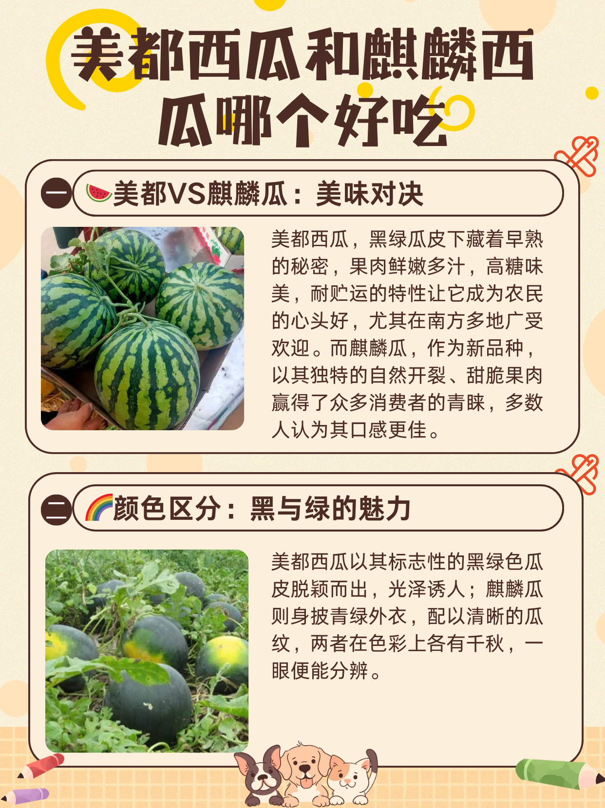 西瓜前十品牌排名.哪个品牌西瓜好吃？-第2张图片