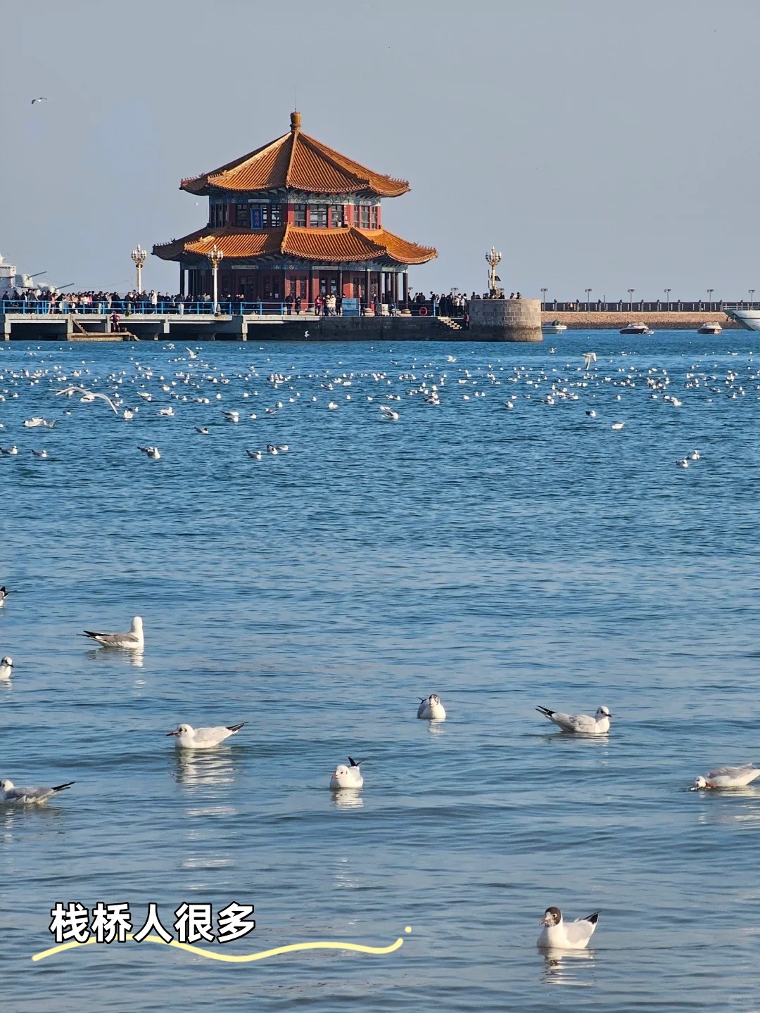 【青岛一日游旅行社,青岛一日游线路】-第2张图片