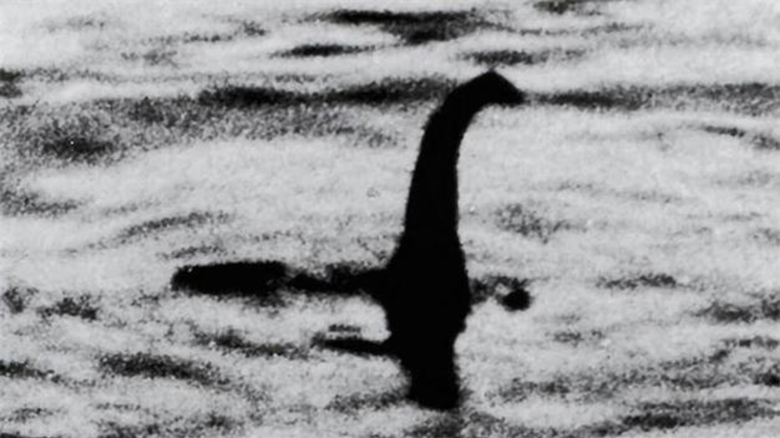 喀纳斯湖水怪的真相纪录片.喀纳斯湖水怪之谜视频？-第3张图片