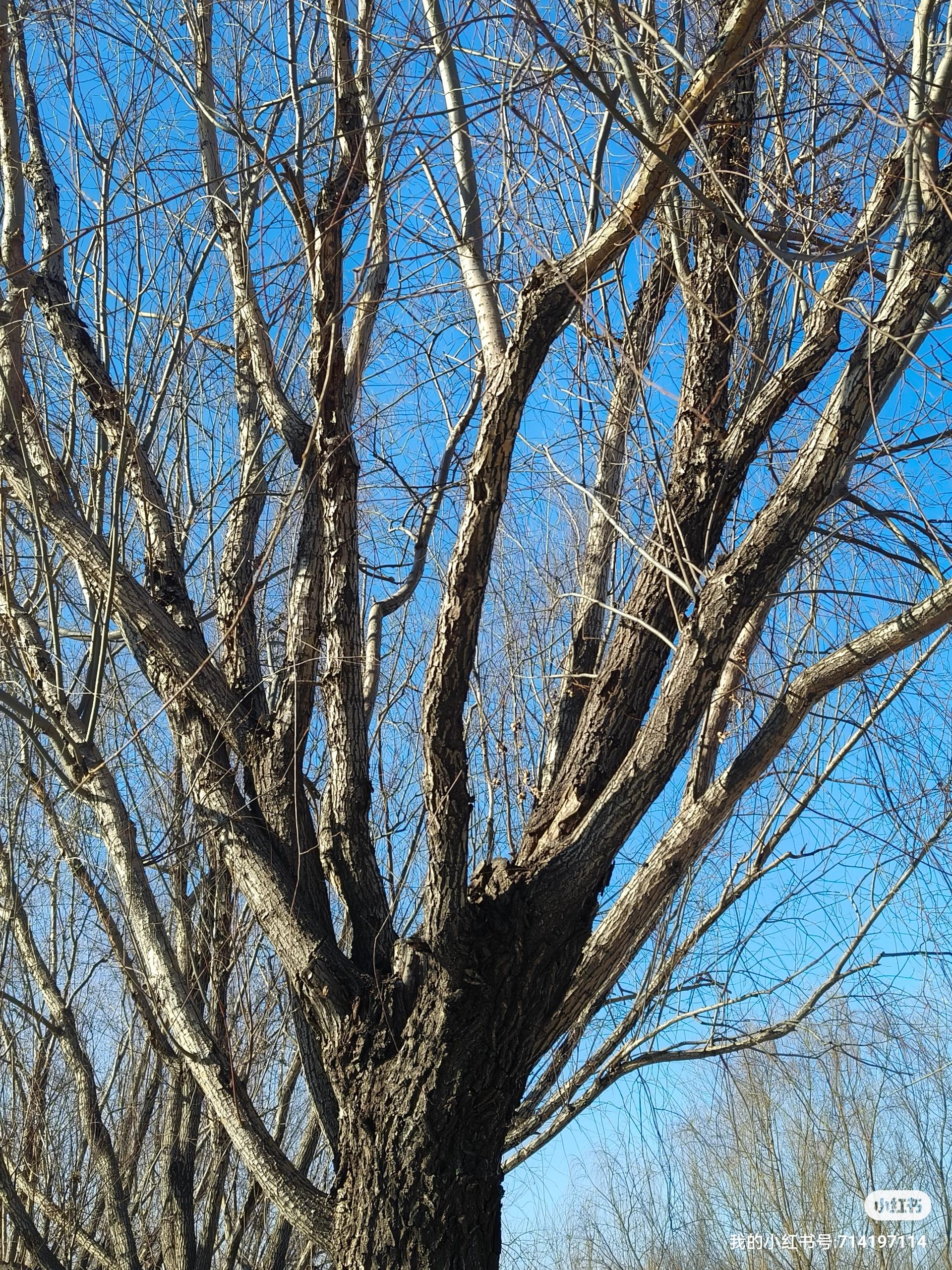 永州迥龙塔.永州迥龙塔图片？-第2张图片