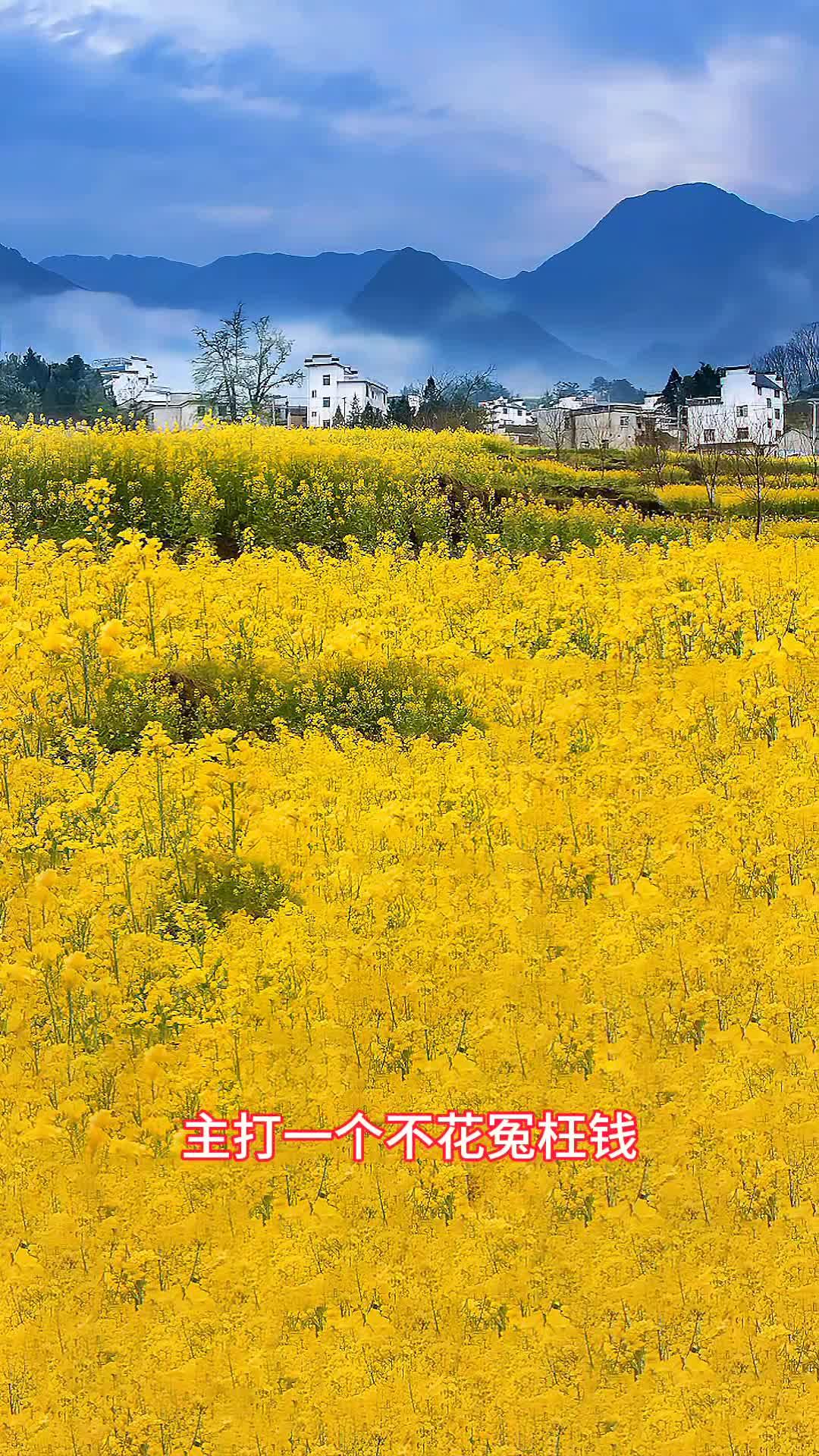 婺源旅游攻略景点必去(婺源旅游必去的景点)-第2张图片