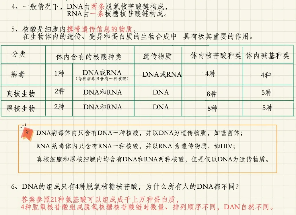 脱氧核糖表情包/脱氧核糖和核糖的示意图-第2张图片