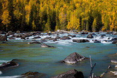 喀纳斯.喀纳斯景区有哪些景点?-第1张图片