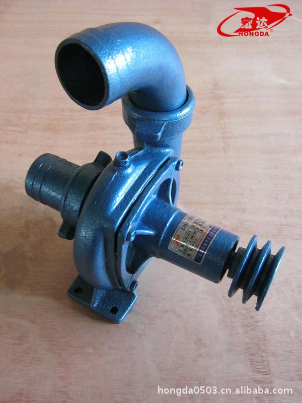 潜水泵品牌排名前[Ten]、潜水泵哪个牌子比较好最耐用？-第1张图片