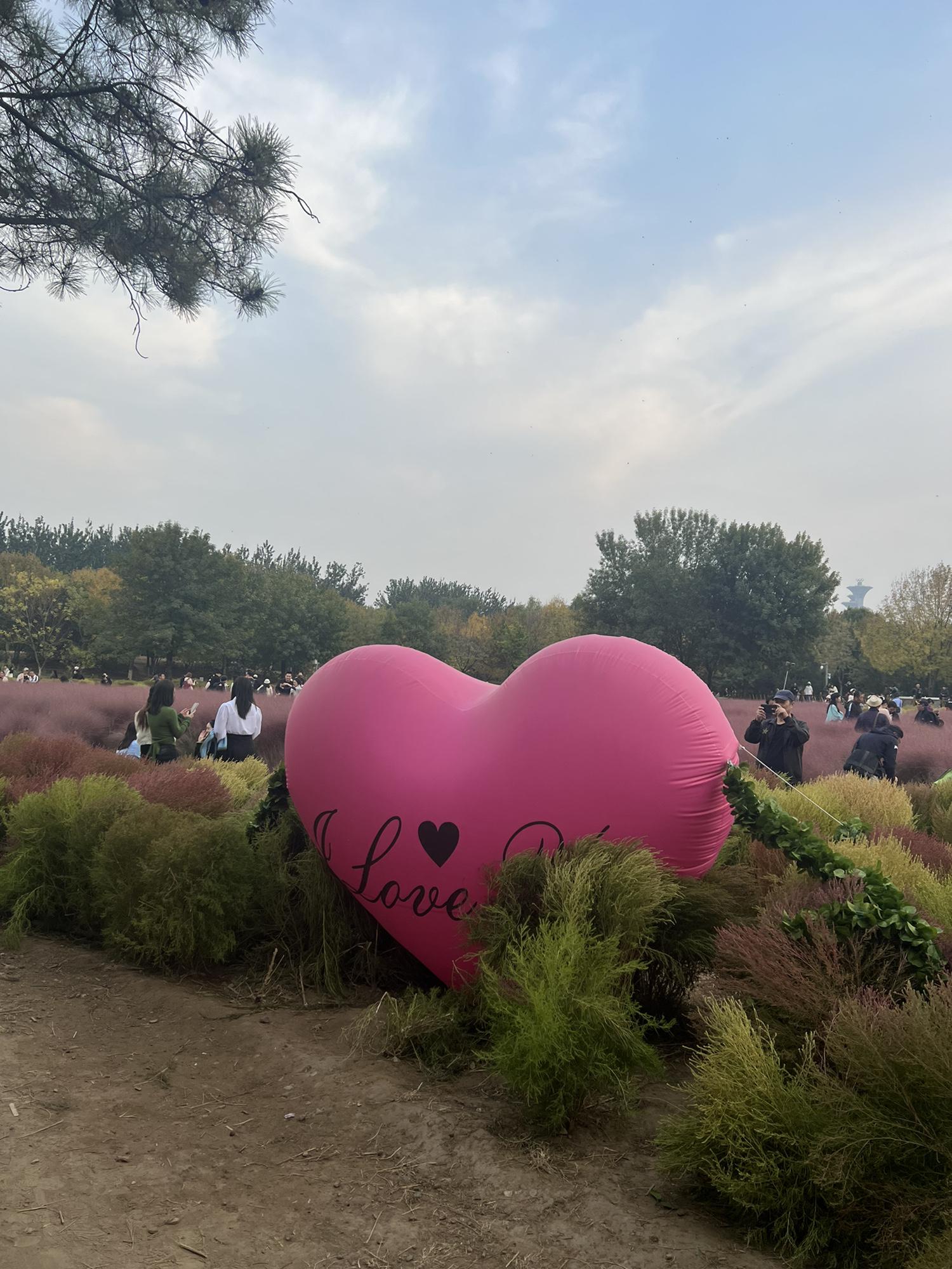 北京两日游最佳景点推荐(北京两日游旅游攻略)-第2张图片