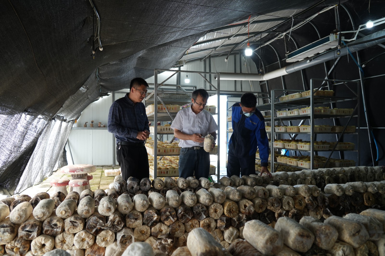 【大洼人力资源和社会保障局官方网站,大洼人社局在哪】-第2张图片