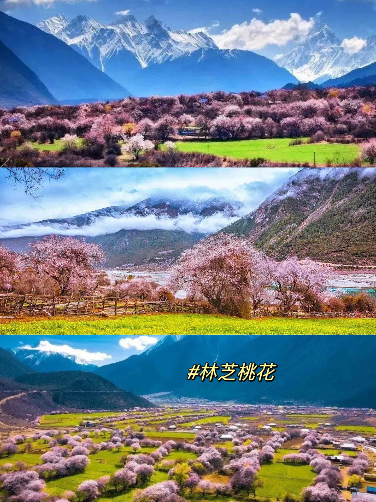 【拉萨什么时候去旅游最合适,拉萨什么季节去旅游最合适】-第1张图片