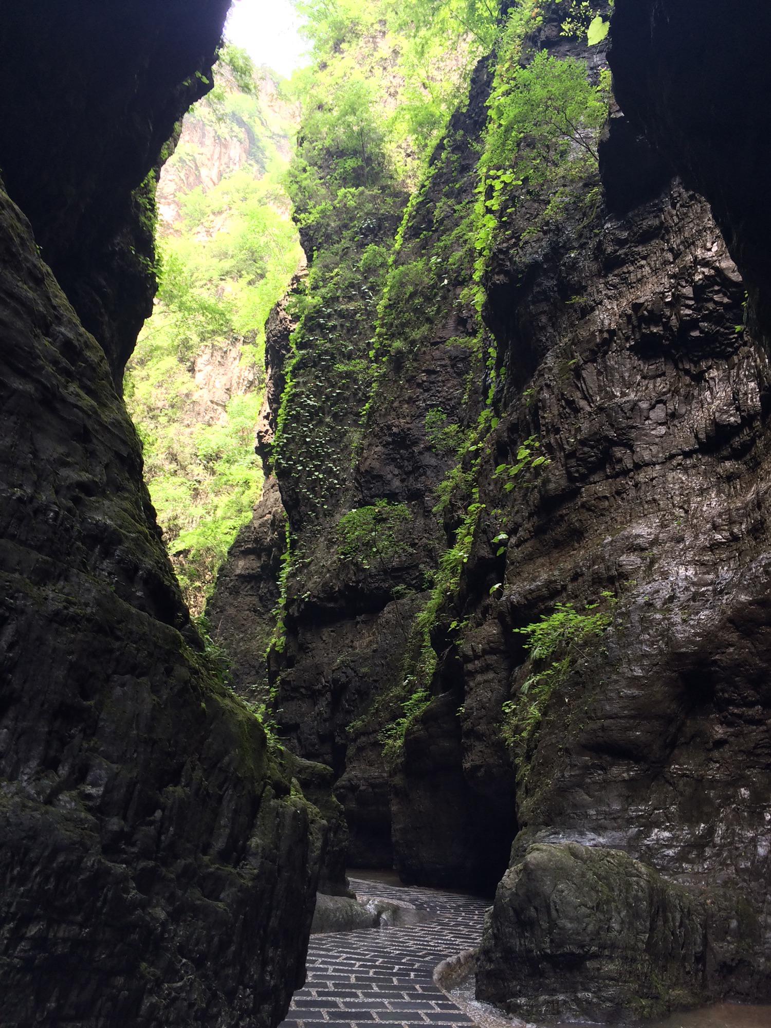 【附近的景点免费景区,附近的景点免费景区有哪些】-第2张图片