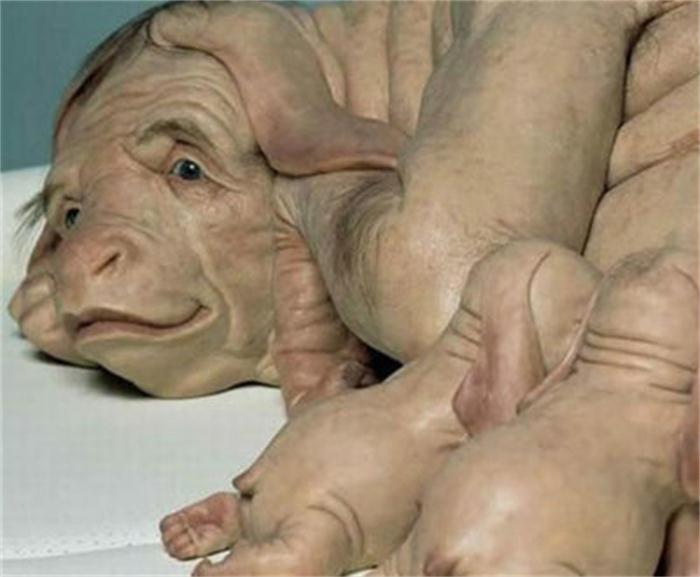 国内奇闻怪事/中国奇闻怪事视频大全集-第2张图片