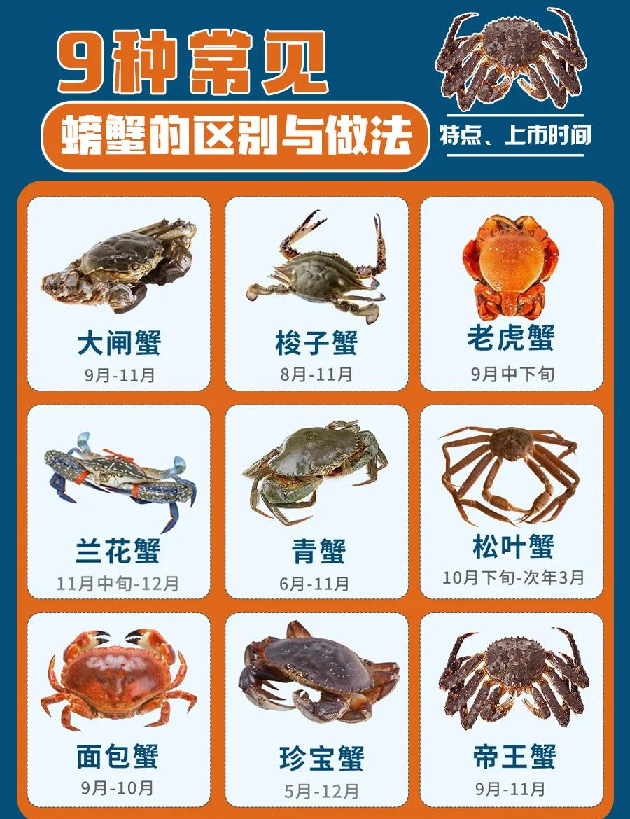 【比帝王蟹还大的螃蟹,比帝王蟹还大的螃蟹有哪些】-第1张图片