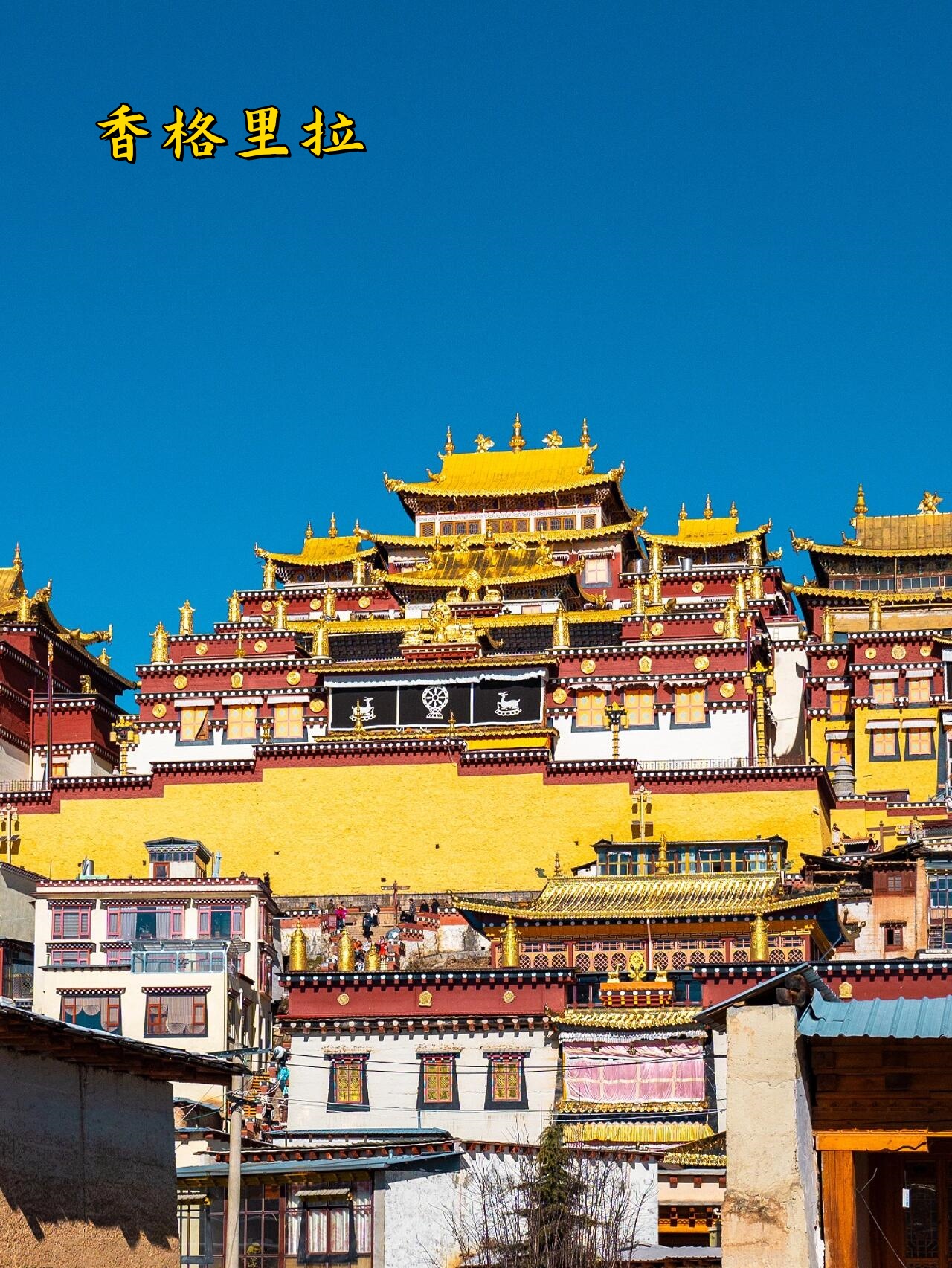 云南国旅旅行社口碑怎样(国旅云南旅游)-第2张图片