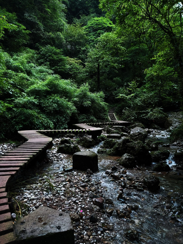 青城山后山攻略(青城山后山景点)-第3张图片