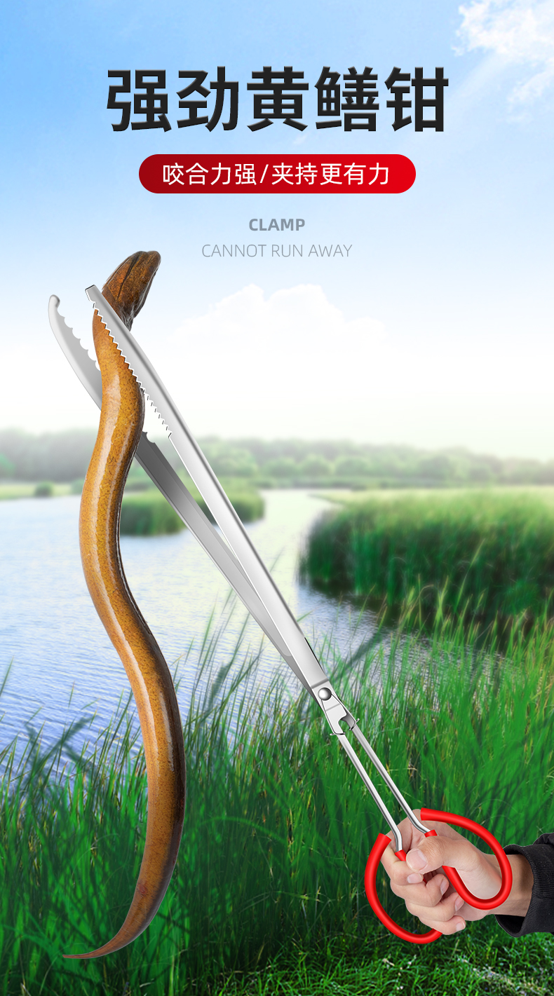 赶海夹子前十品牌(赶海夹子前十品牌有哪些)-第1张图片