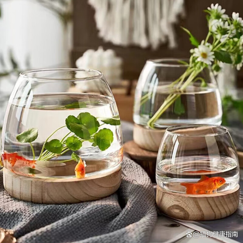 水族箱品牌前十名牌.水族箱10大品牌是哪10个？-第1张图片