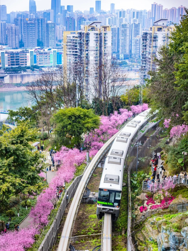 重庆一日游最佳攻略.重庆一日游最佳攻略纯玩？-第1张图片