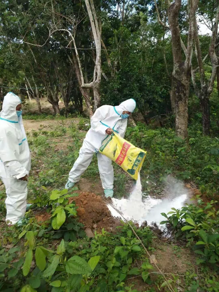 地区疫情防控知识宣传/地区疫情防控知识宣传简报-第2张图片