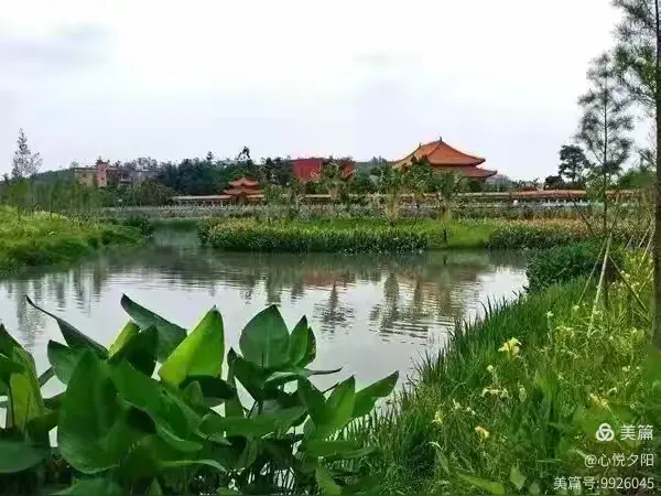 厦门五缘湾湿地公园.厦门五缘湾湿地公园游玩攻略?-第1张图片