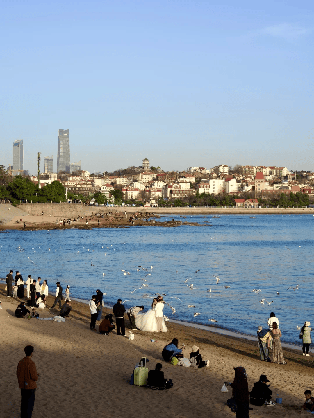 【青岛旅游,青岛旅游最佳时间】-第3张图片