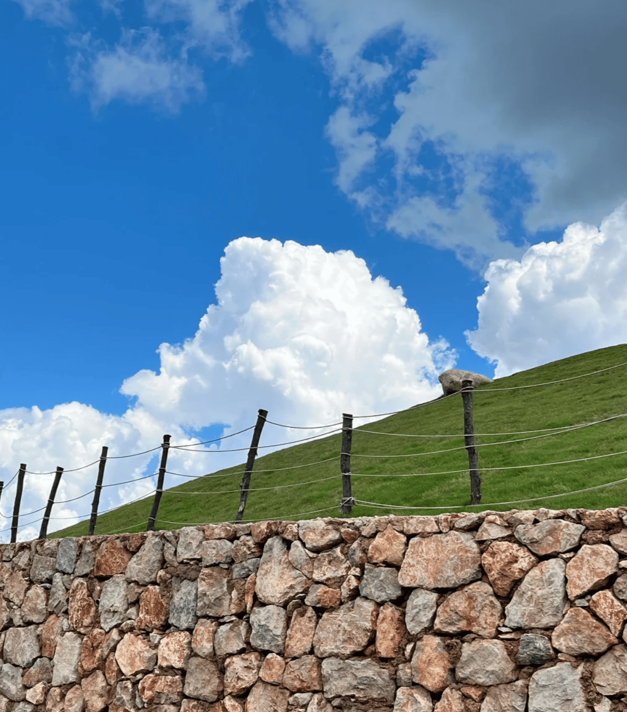 【昆明世界旅行社官方网站,云南比较好三个旅行社】-第3张图片