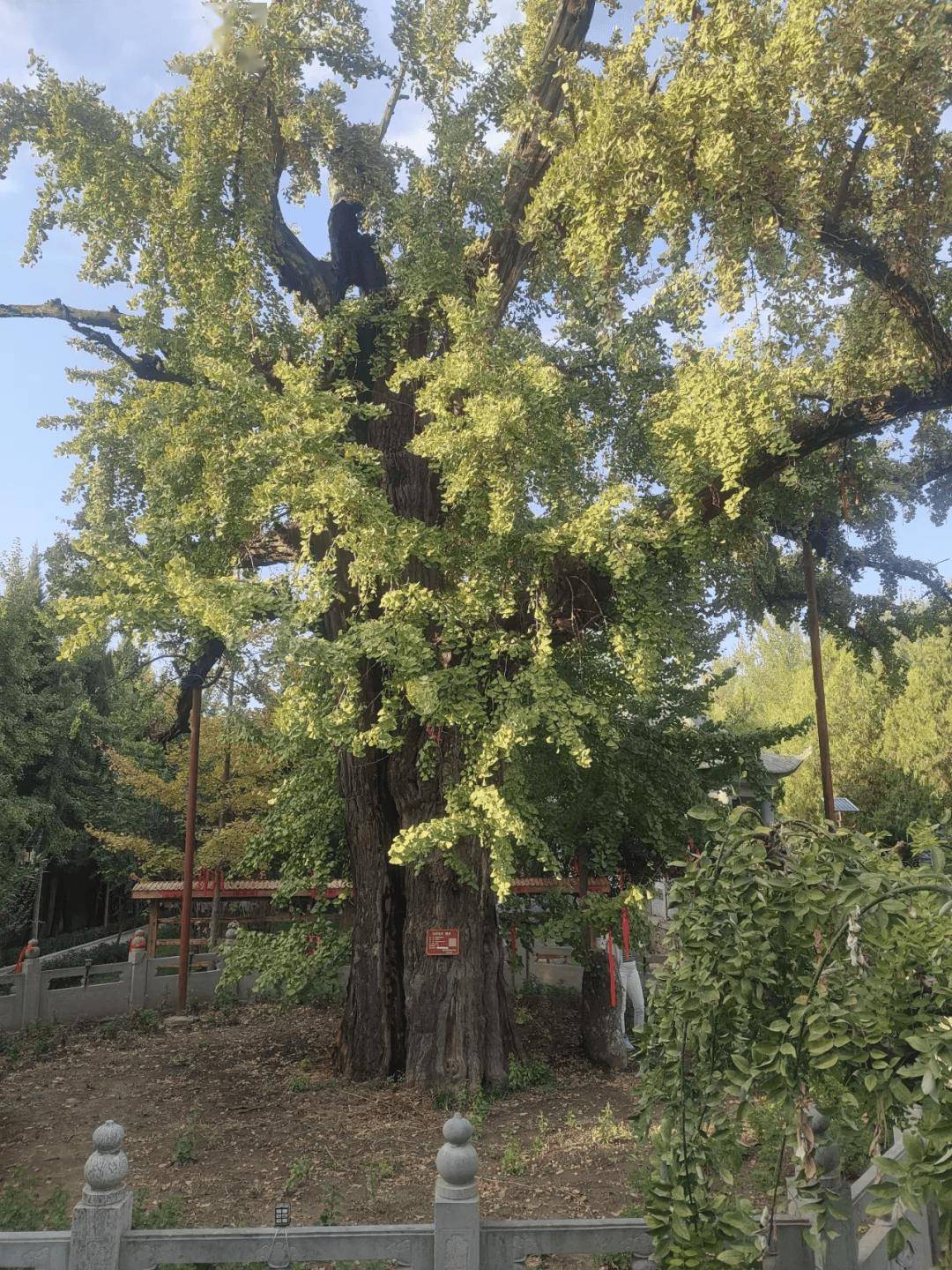 终南山活死人墓简介/终南山上 活死人墓-第1张图片