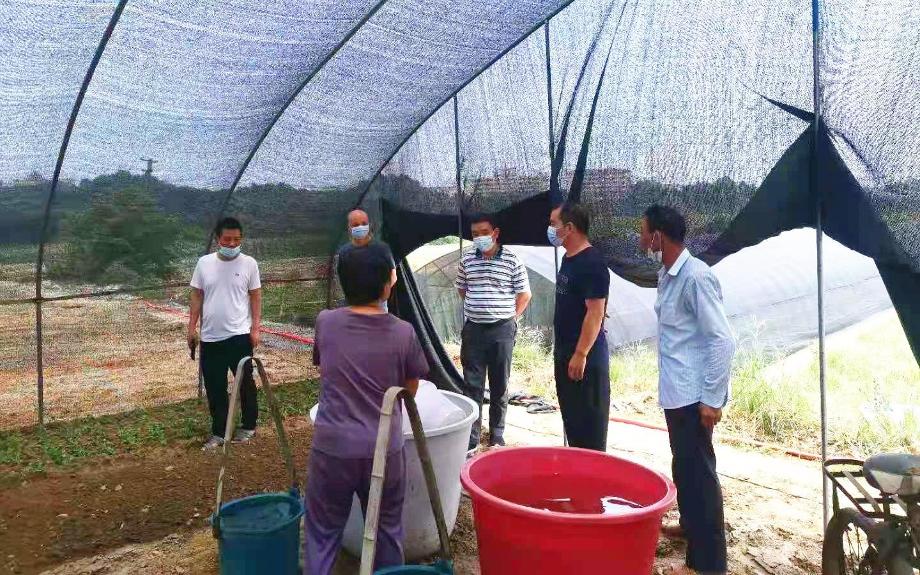 株洲地区攸县疫情如何了(株洲攸县的疫情)-第1张图片