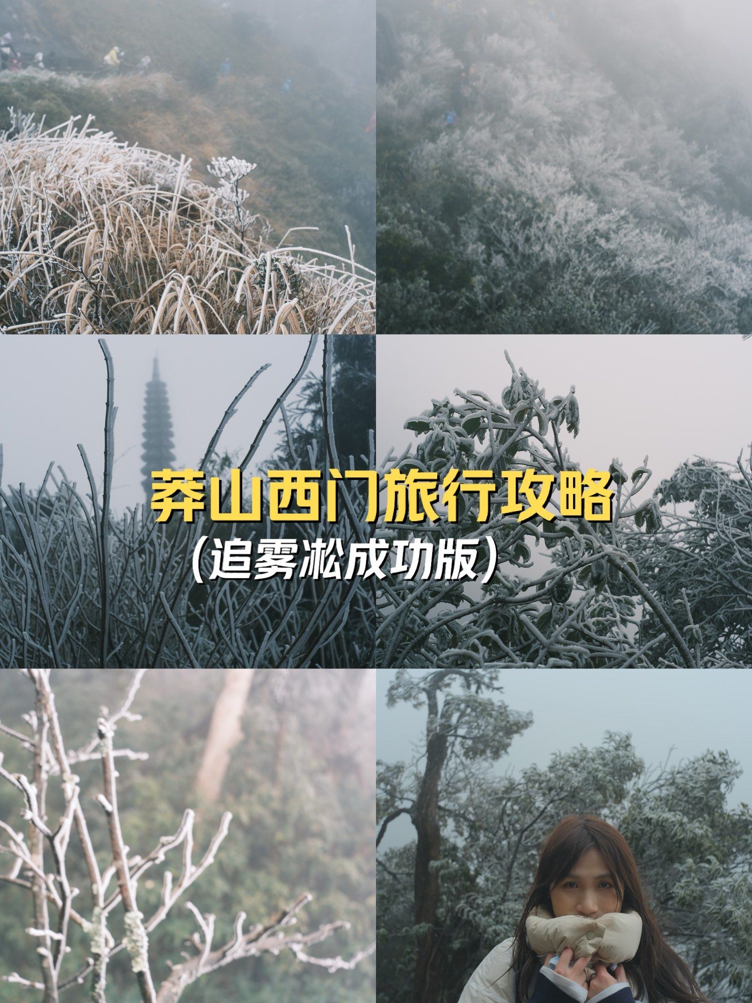 莽山国家森林公园门票.莽山国家森林公园门票退役军人有优惠吗？-第2张图片