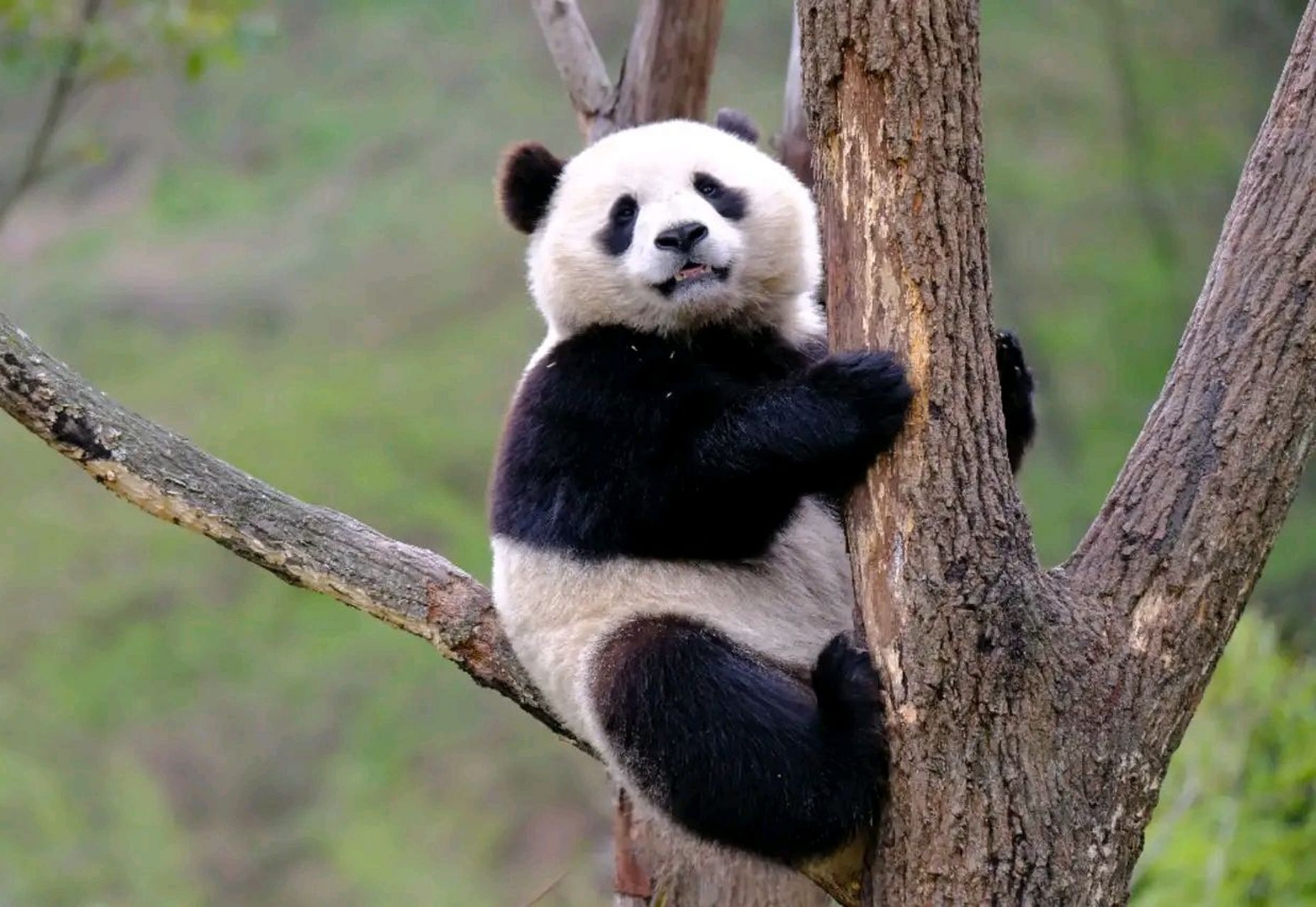 河北旅游景点大全排名(河北旅游景点大全排名 自驾)-第1张图片