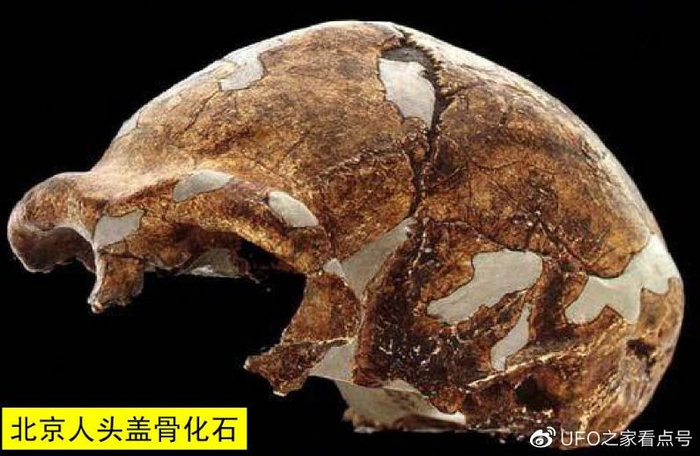 北京ufo研究会官方网站(北京ufo2020)-第1张图片