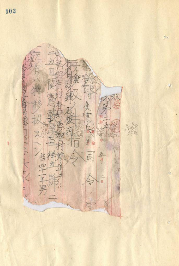 被731抓去的有幸存者吗(731部队成员被中国人抓到)-第2张图片