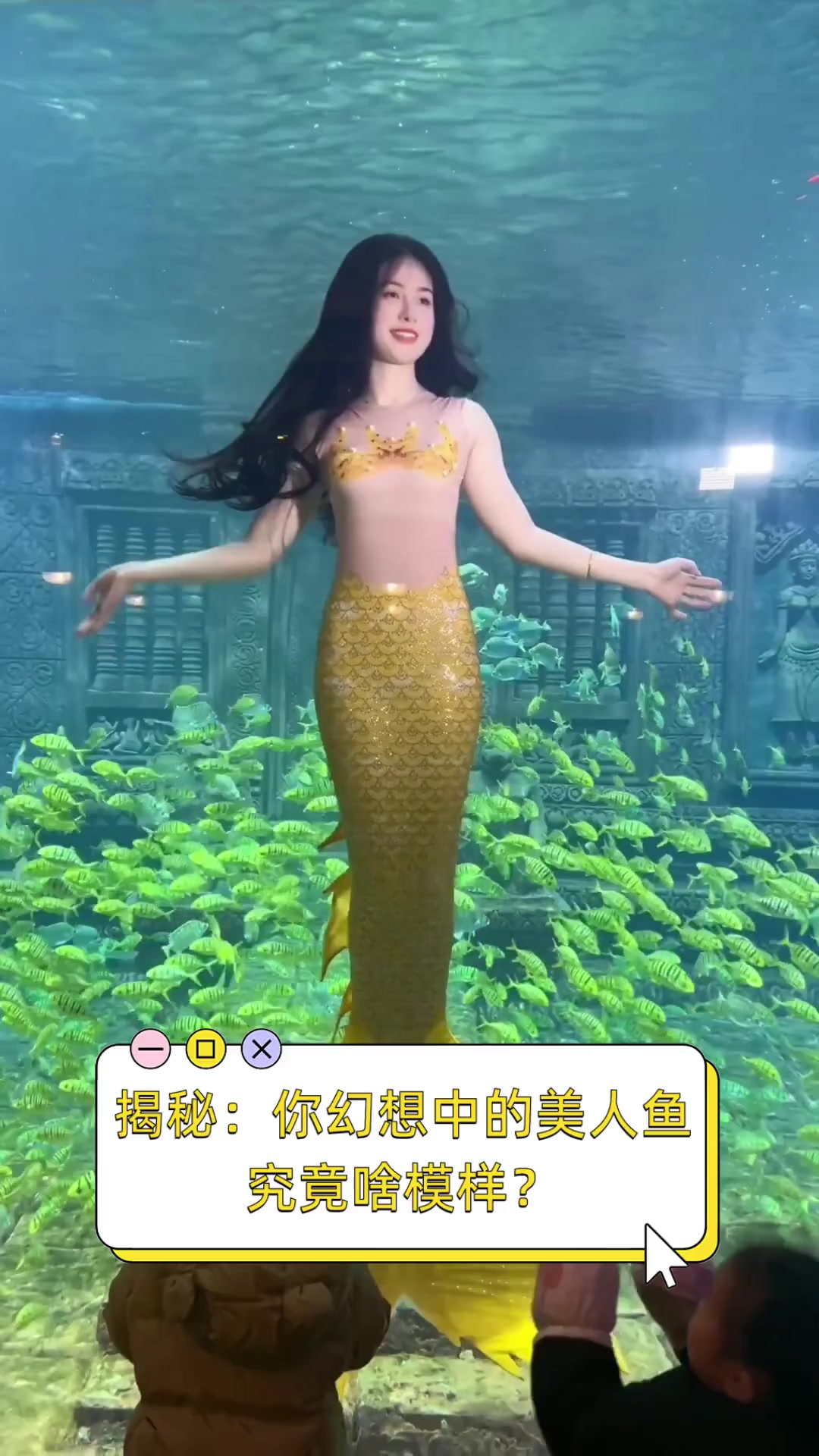 真正的美人鱼长什么样子.真正的美人鱼有多漂亮?-第1张图片